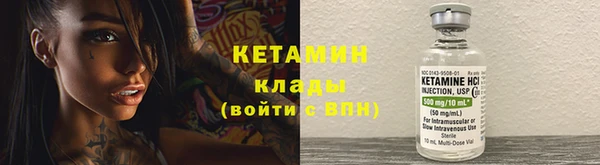крисы Баксан