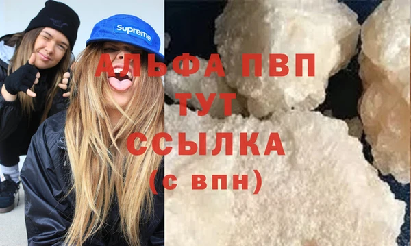 крисы Баксан