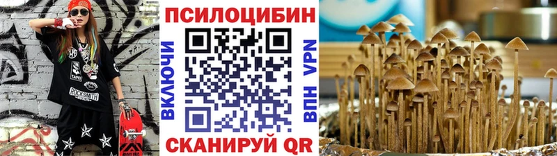 купить наркоту  shop как зайти  Галлюциногенные грибы MAGIC MUSHROOMS  Козельск 